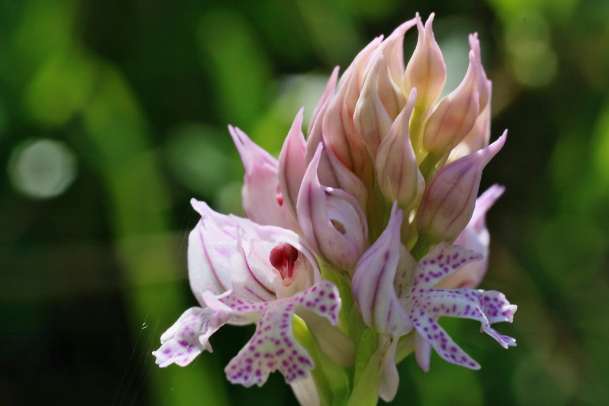 IMG-2016-05-08-00014331p_Bildgr��e �ndern