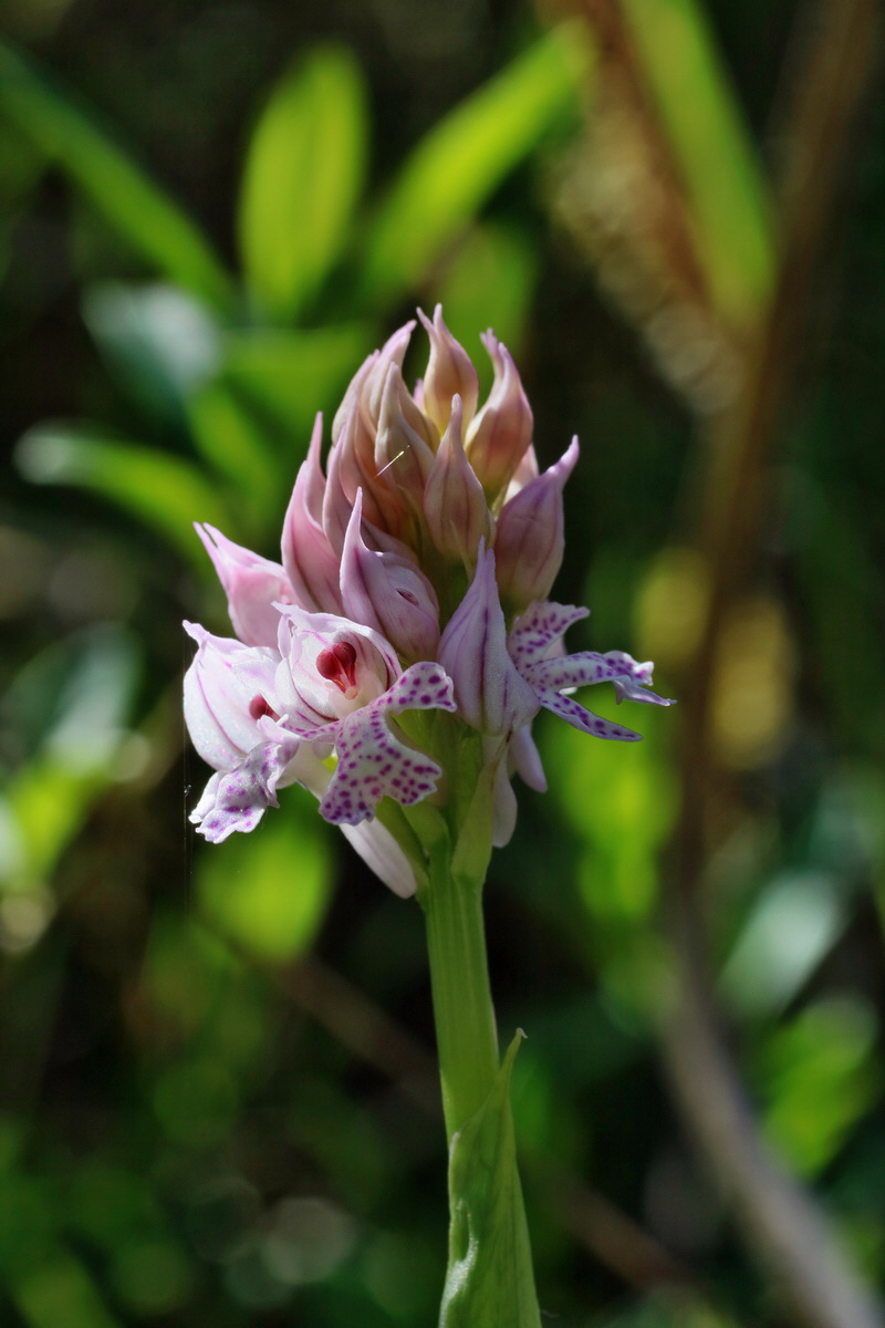 IMG-2016-05-08-00014335p_Bildgr��e �ndern