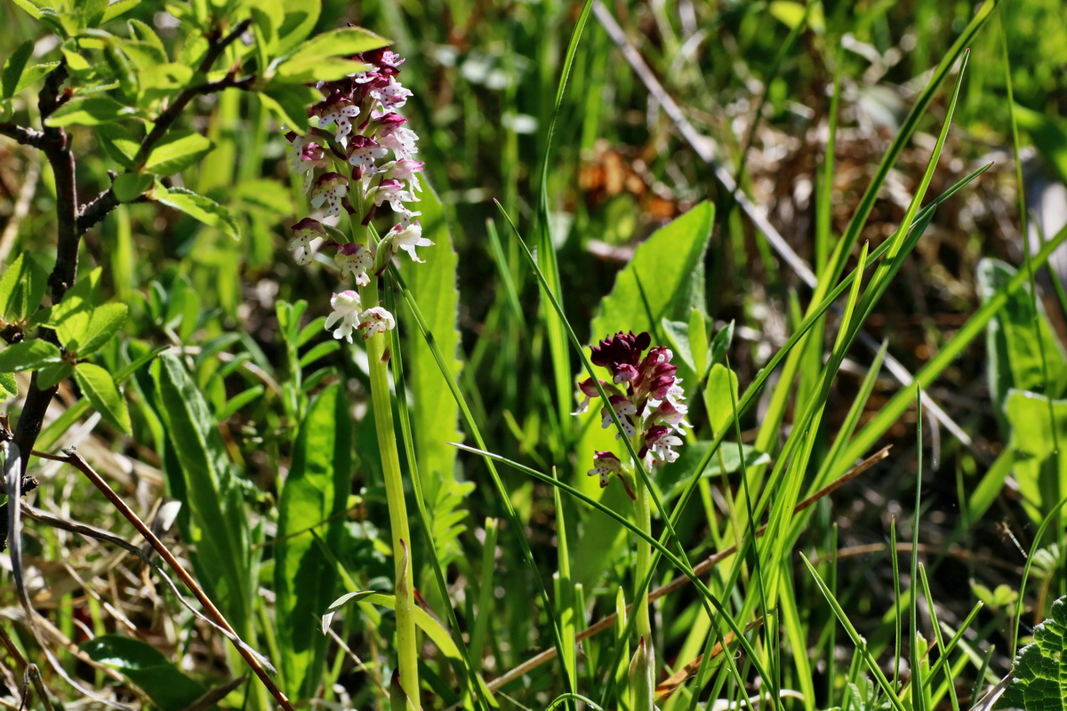 IMG-2016-05-08-00014338p_Bildgr��e �ndern