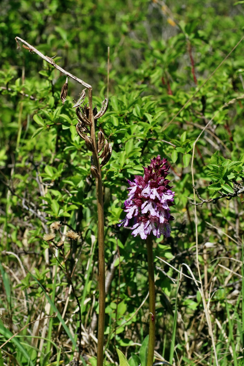 IMG-2016-05-08-00014344p_Bildgr��e �ndern