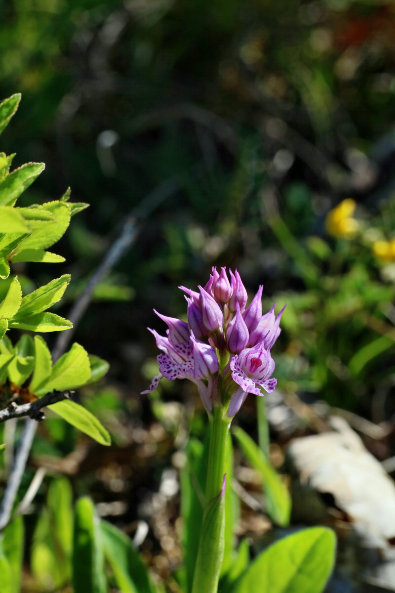 IMG-2016-05-08-00014346p_Bildgr��e �ndern