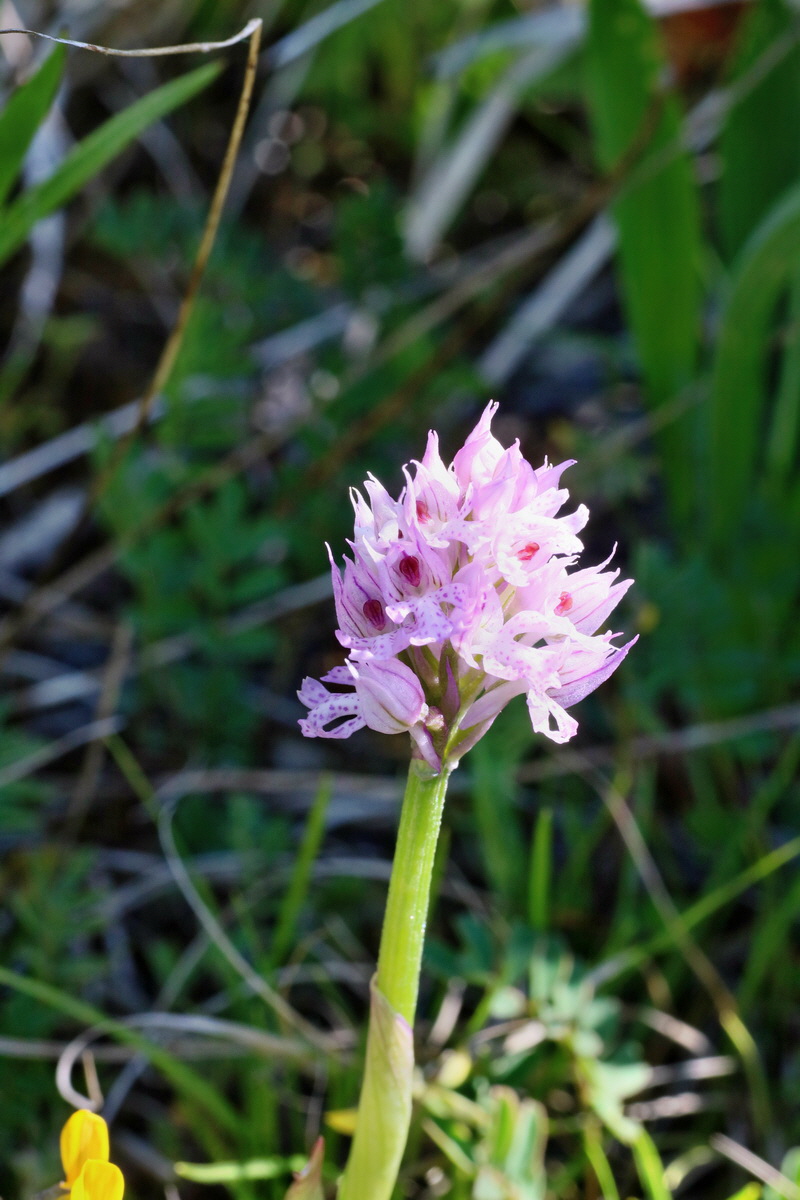 IMG-2016-05-08-00014351p_Bildgr��e �ndern