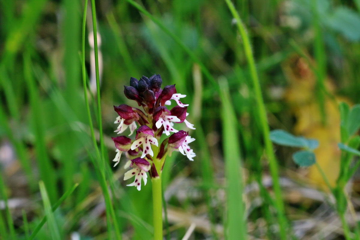 IMG-2016-05-08-00014361p_Bildgr��e �ndern