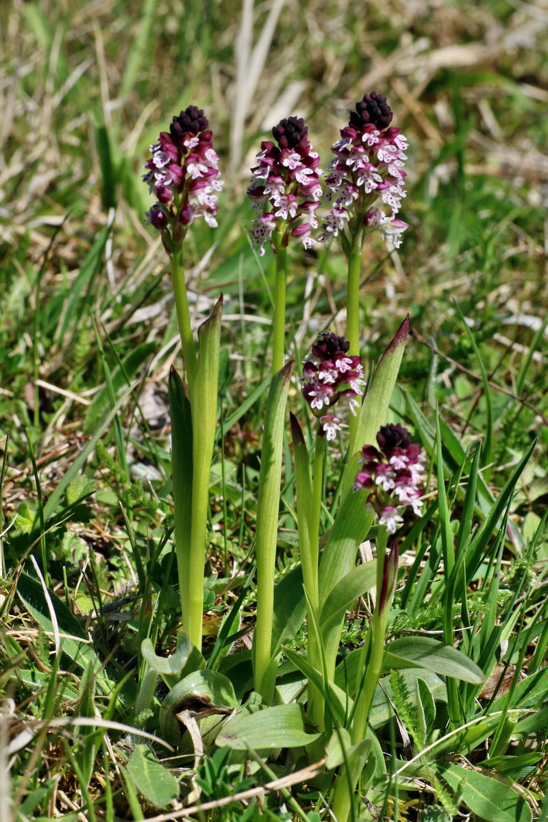 IMG-2016-05-08-00014368p_Bildgr��e �ndern