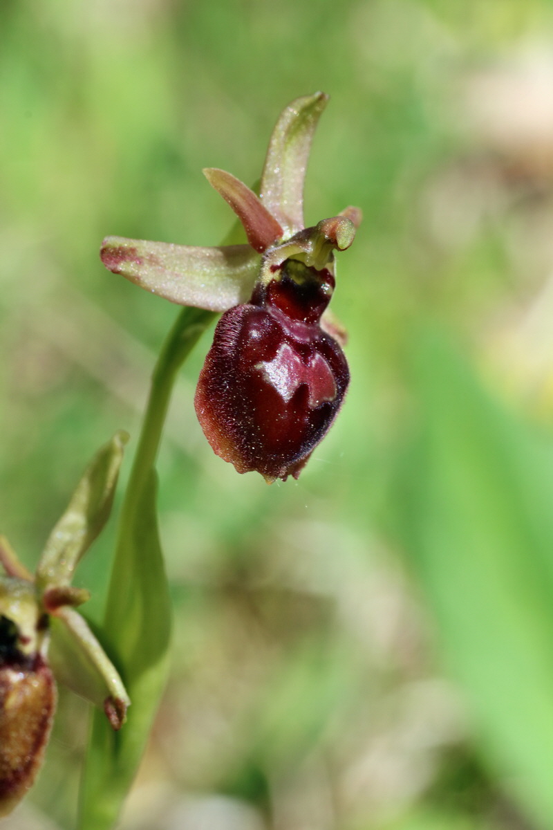 IMG-2016-05-08-00014382p_Bildgr��e �ndern