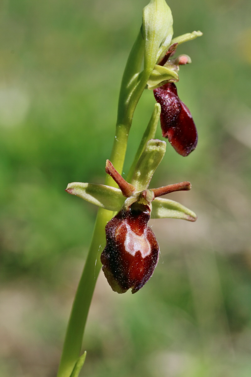 IMG-2016-05-08-00014386p_Bildgr��e �ndern