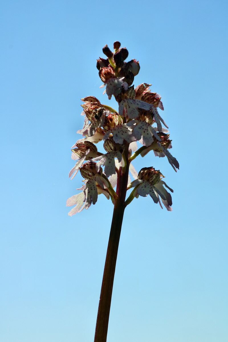 IMG-2016-05-08-00014388p_Bildgr��e �ndern