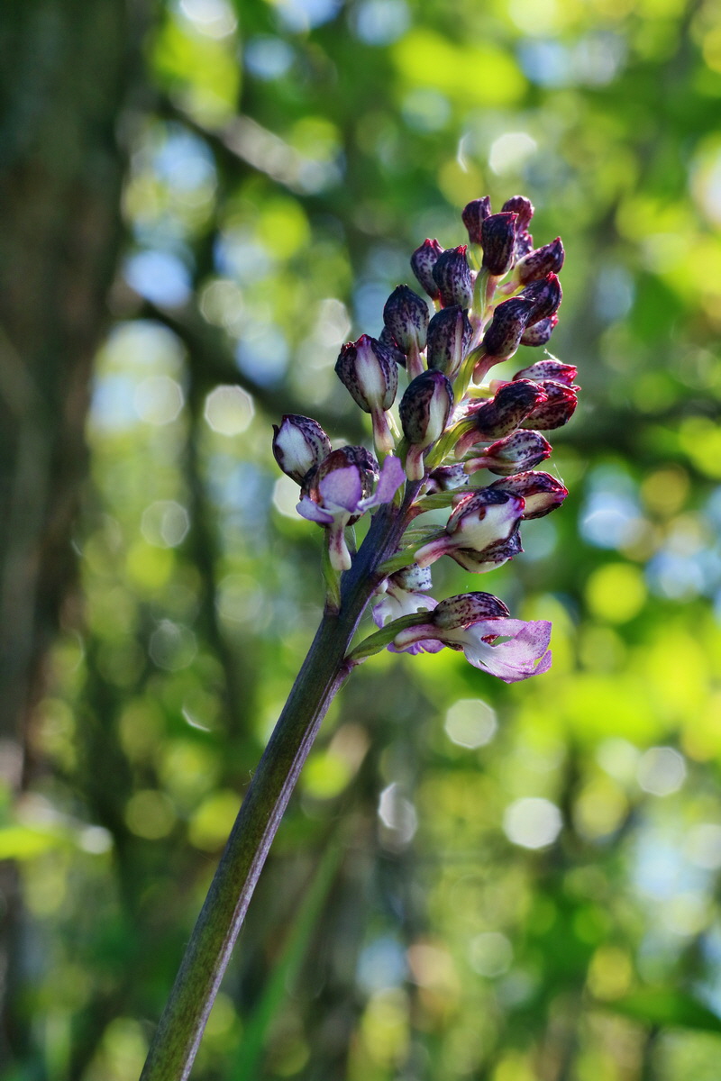 IMG-2016-05-08-00014393p_Bildgr��e �ndern