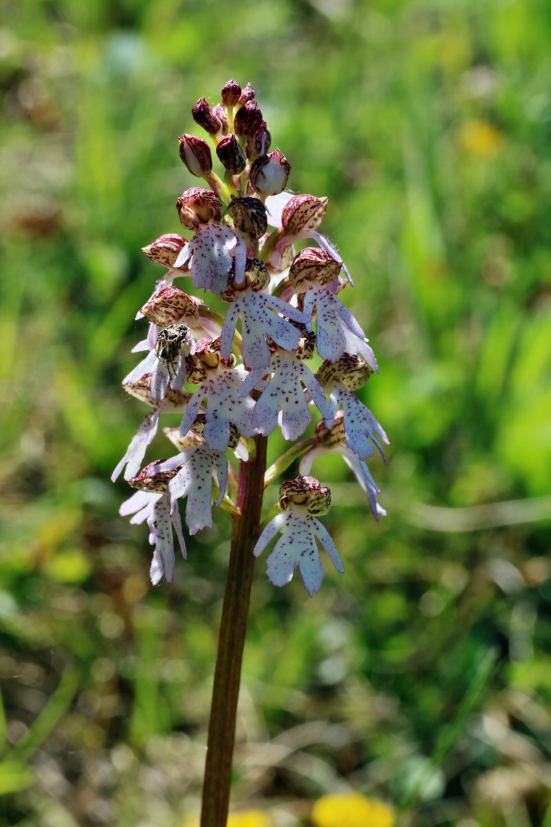 IMG-2016-05-08-00014397p_Bildgr��e �ndern