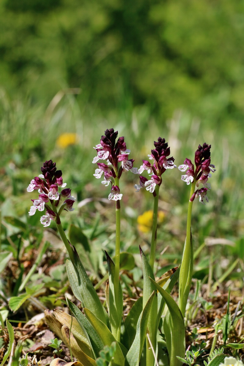 IMG-2016-05-08-00014402p_Bildgr��e �ndern