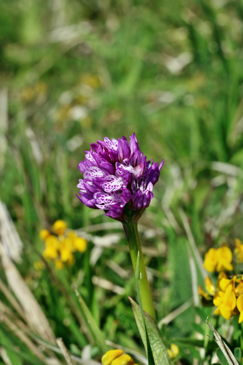 IMG-2016-05-08-00014424p_Bildgr��e �ndern