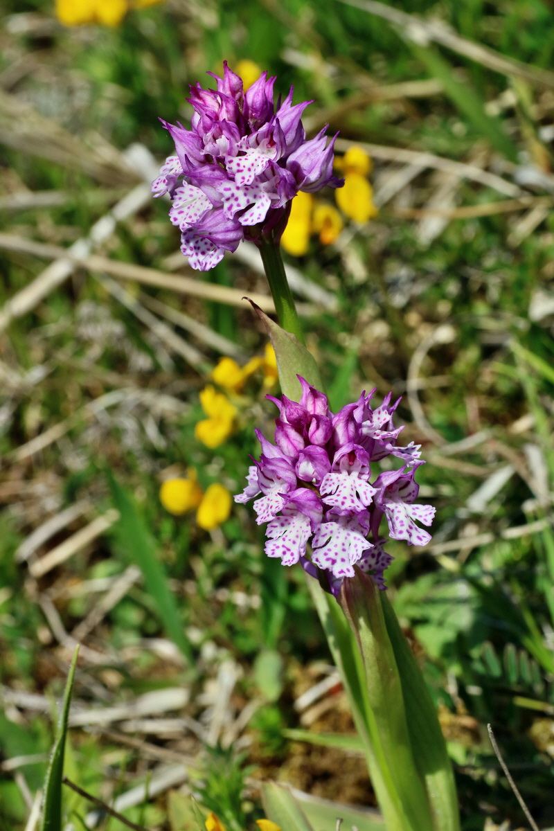 IMG-2016-05-08-00014433p_Bildgr��e �ndern