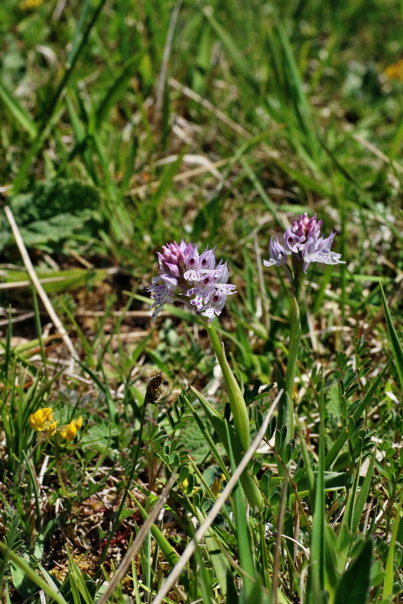 IMG-2016-05-08-00014436p_Bildgr��e �ndern