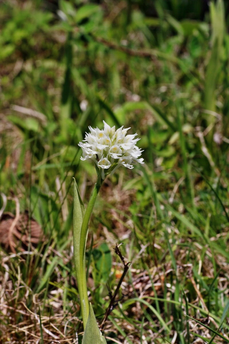 IMG-2016-05-08-00014438p_Bildgr��e �ndern