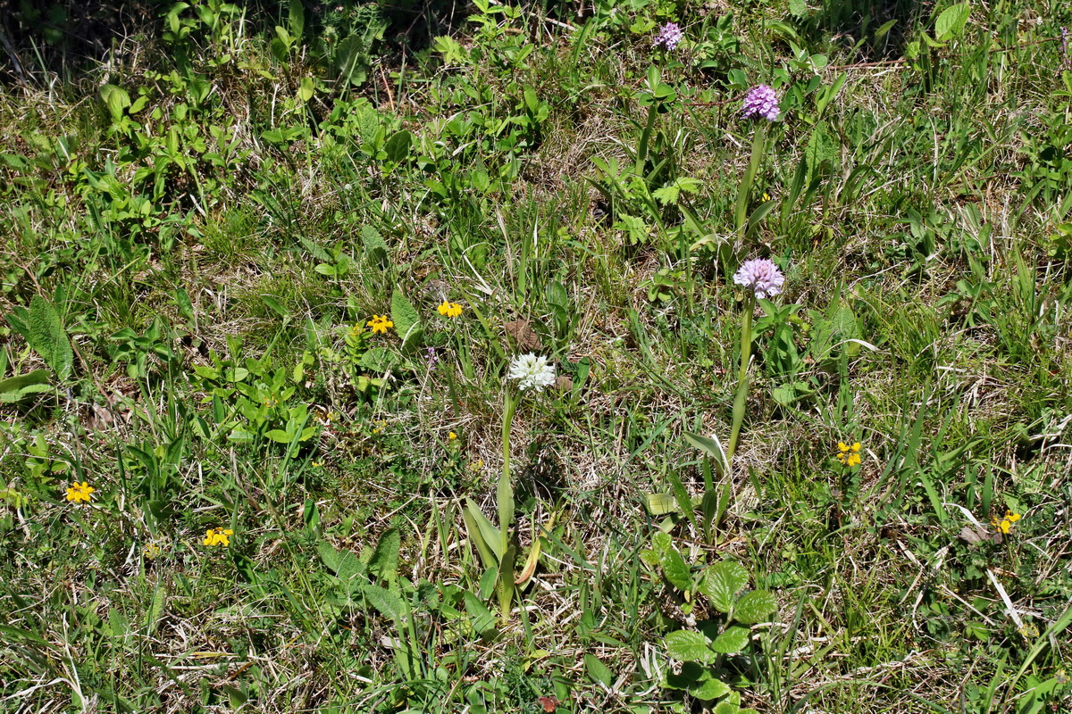 IMG-2016-05-08-00014443p_Bildgr��e �ndern