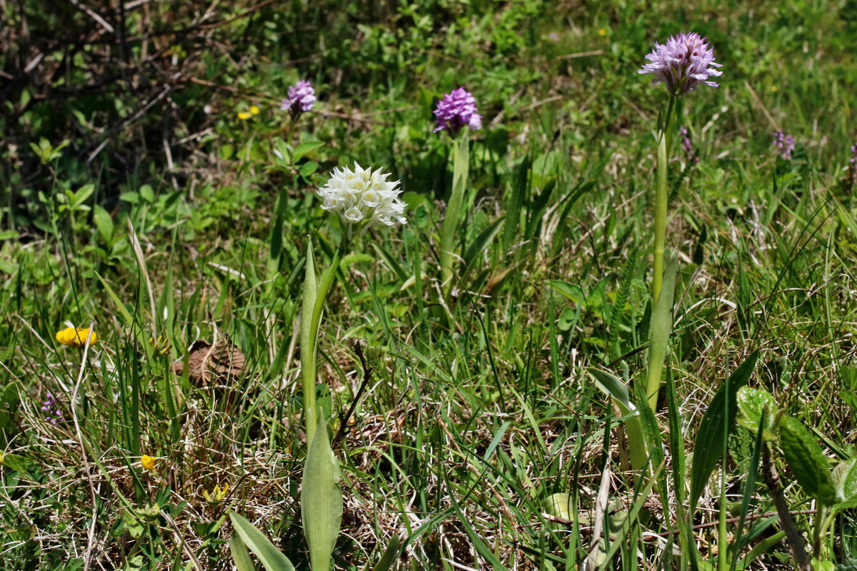 IMG-2016-05-08-00014445p_Bildgr��e �ndern