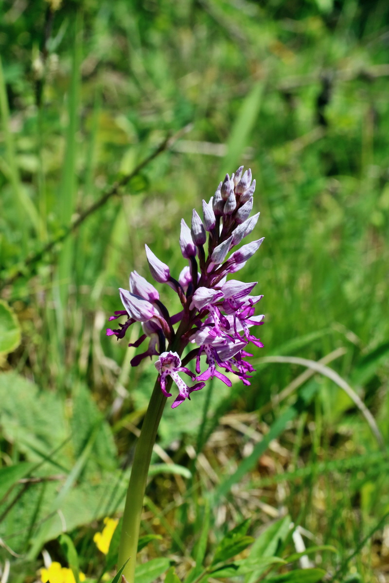 IMG-2016-05-08-00014454p_Bildgr��e �ndern