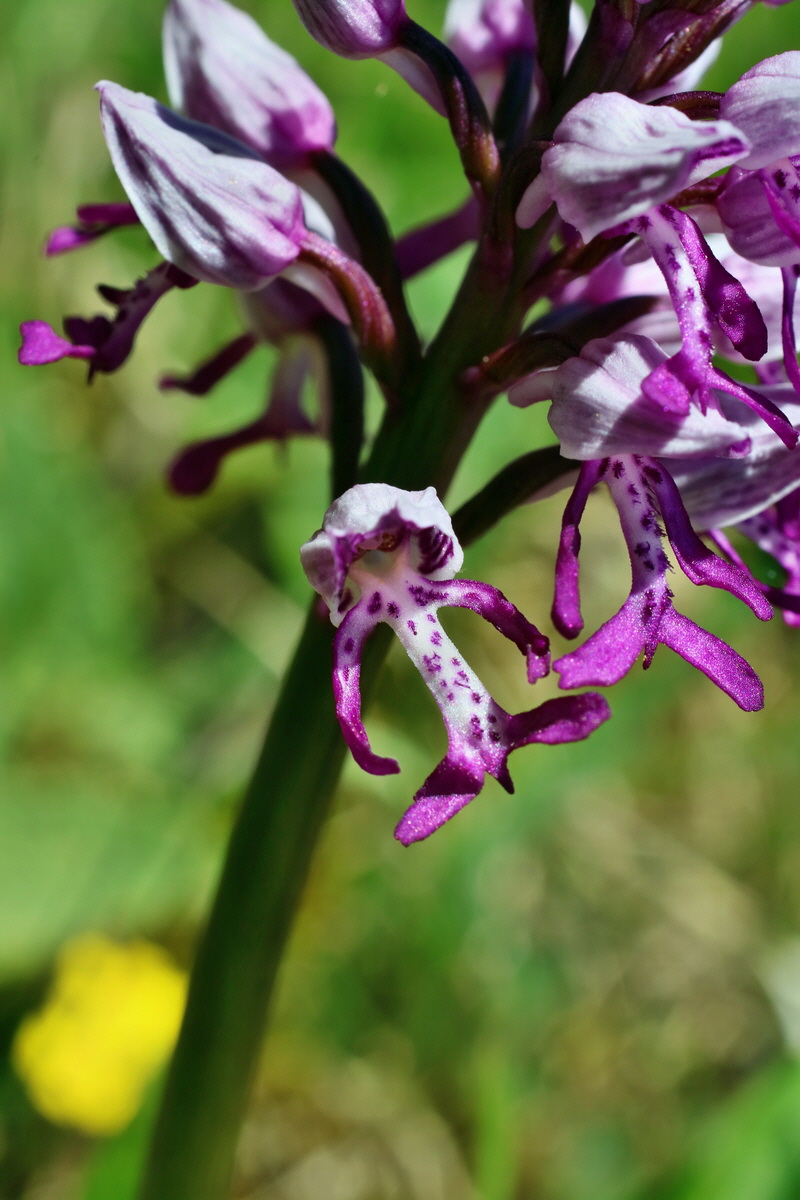 IMG-2016-05-08-00014458p_Bildgr��e �ndern