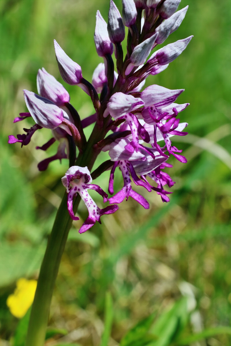 IMG-2016-05-08-00014462p_Bildgr��e �ndern