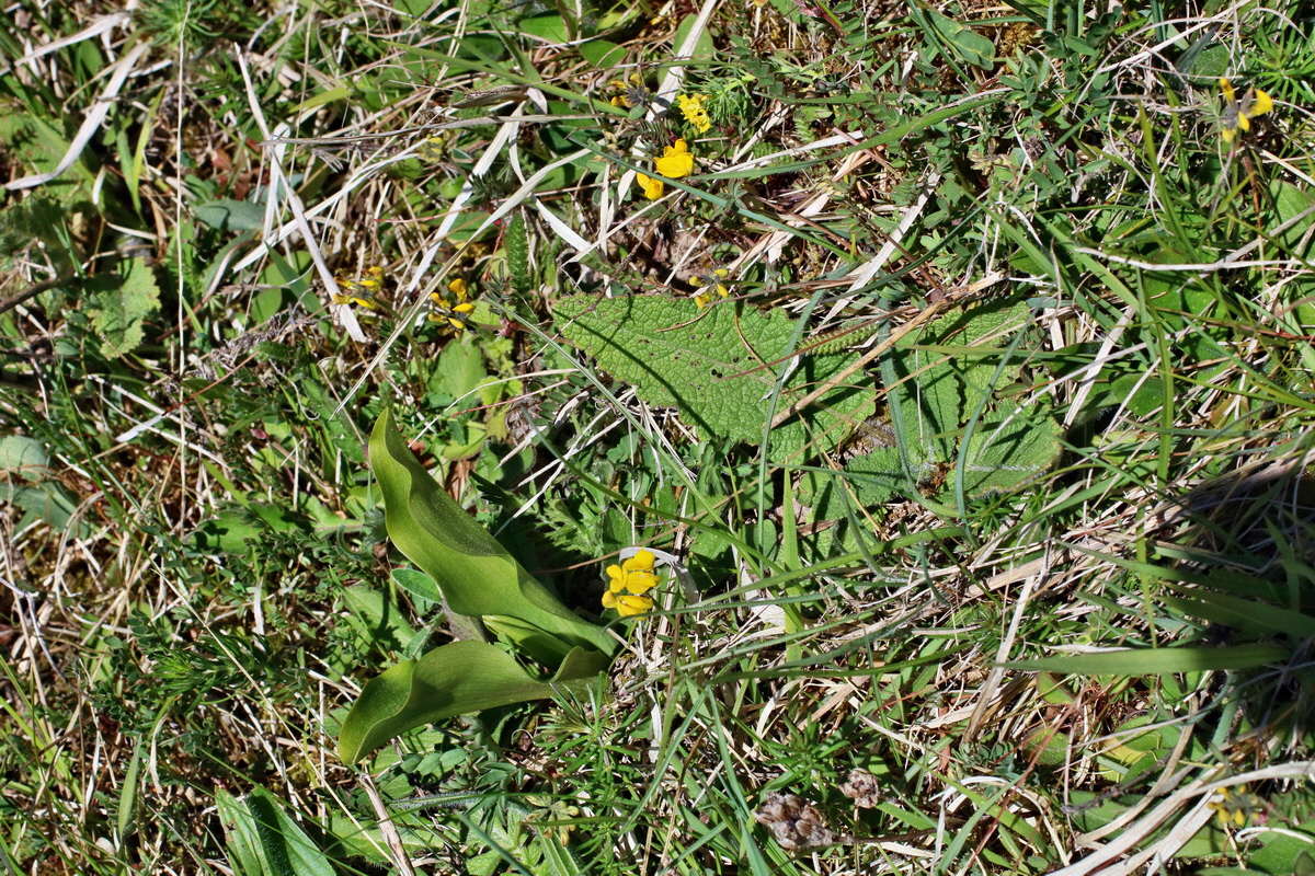 IMG-2016-05-08-00014467p_Bildgr��e �ndern