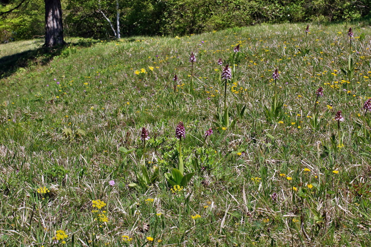 IMG-2016-05-08-00014470p_Bildgr��e �ndern