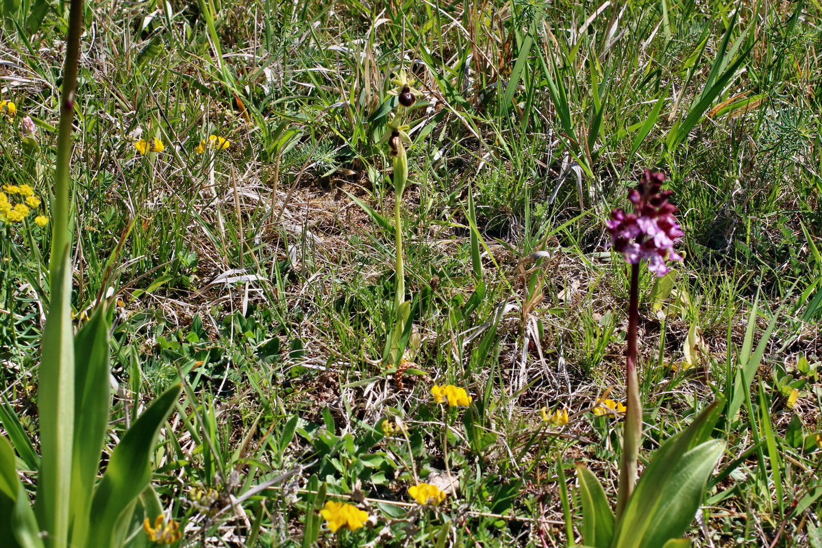 IMG-2016-05-08-00014472p_Bildgr��e �ndern