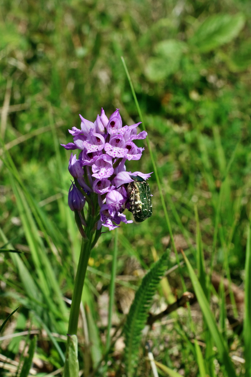 IMG-2016-05-08-00014503p_Bildgr��e �ndern