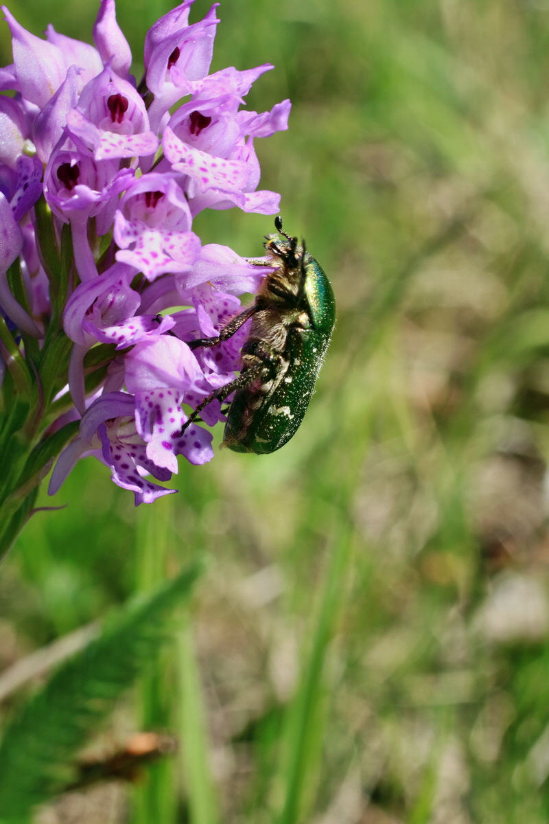 IMG-2016-05-08-00014506p_Bildgr��e �ndern