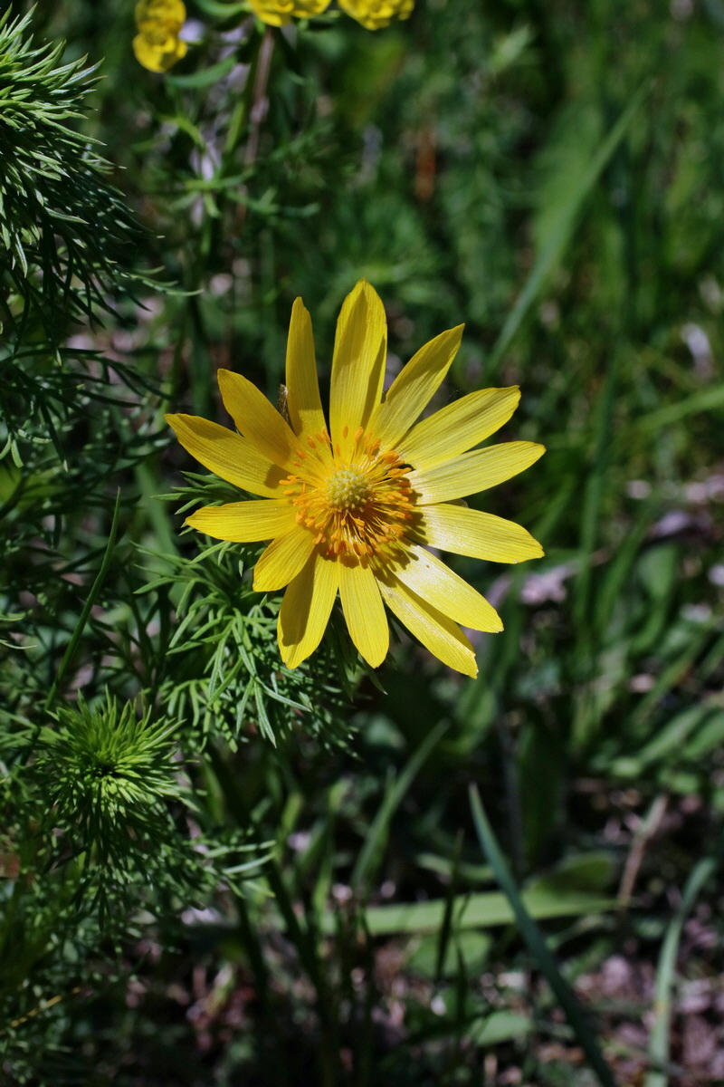 IMG-2016-05-08-00014511p_Bildgr��e �ndern