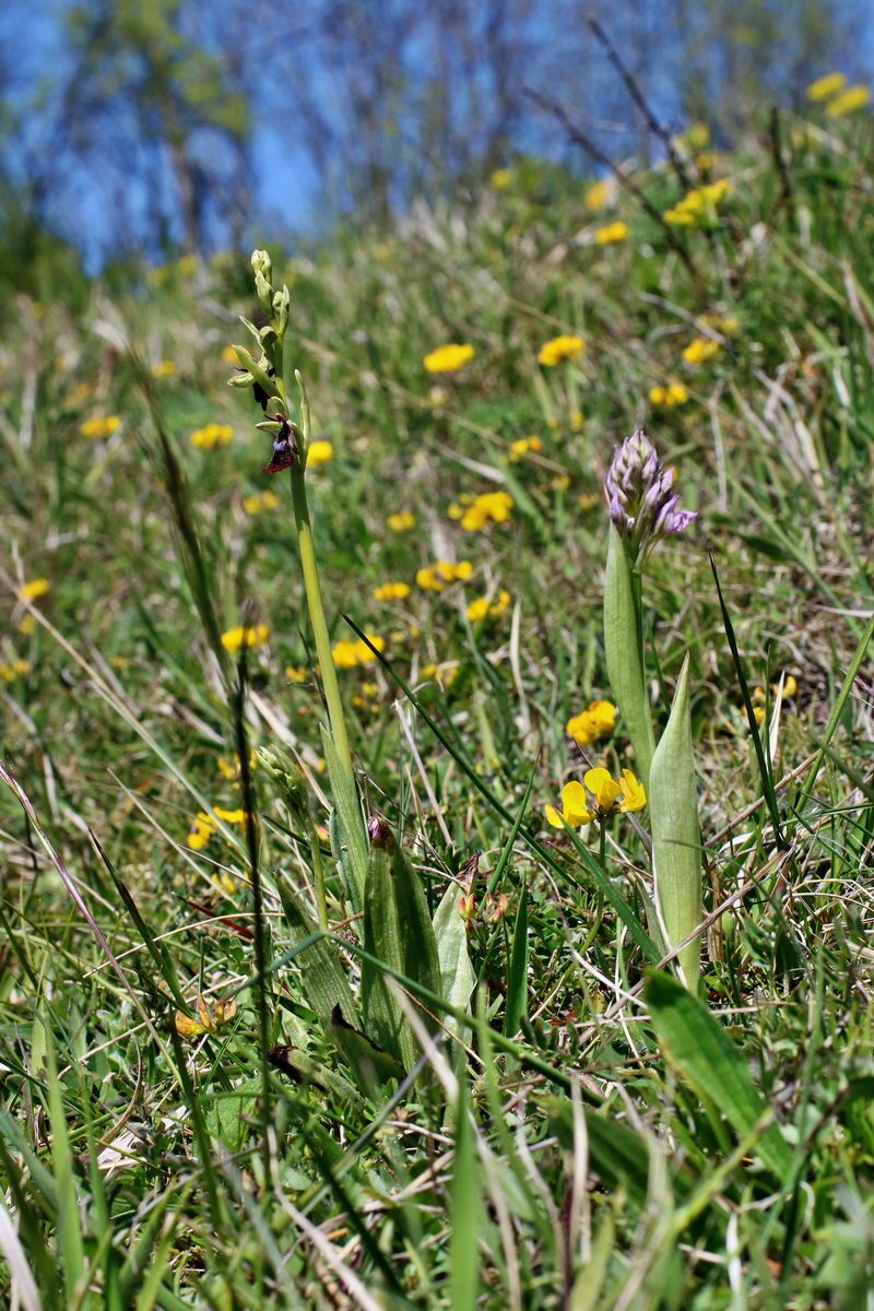 IMG-2016-05-08-00014514p_Bildgr��e �ndern