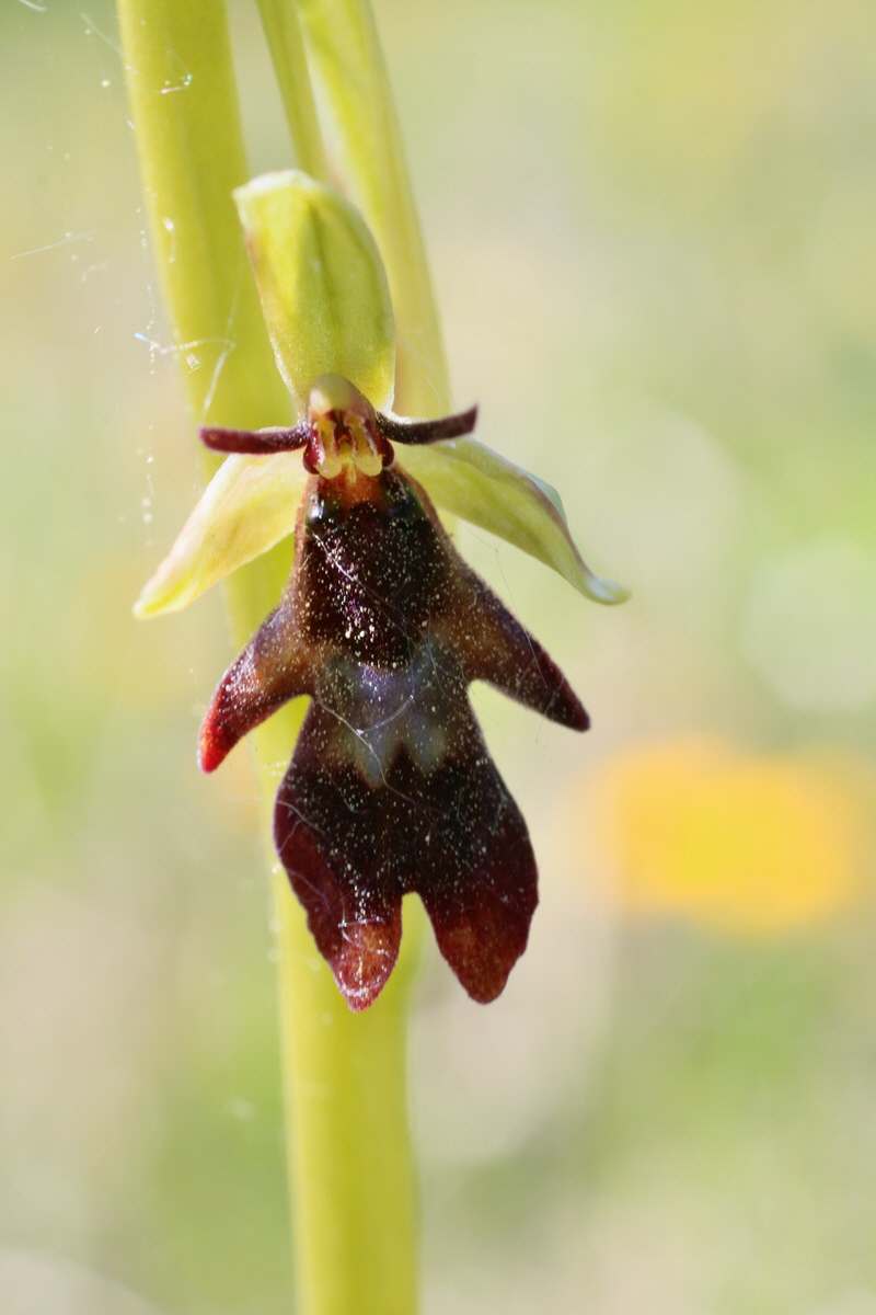 IMG-2016-05-08-00014524p_Bildgr��e �ndern