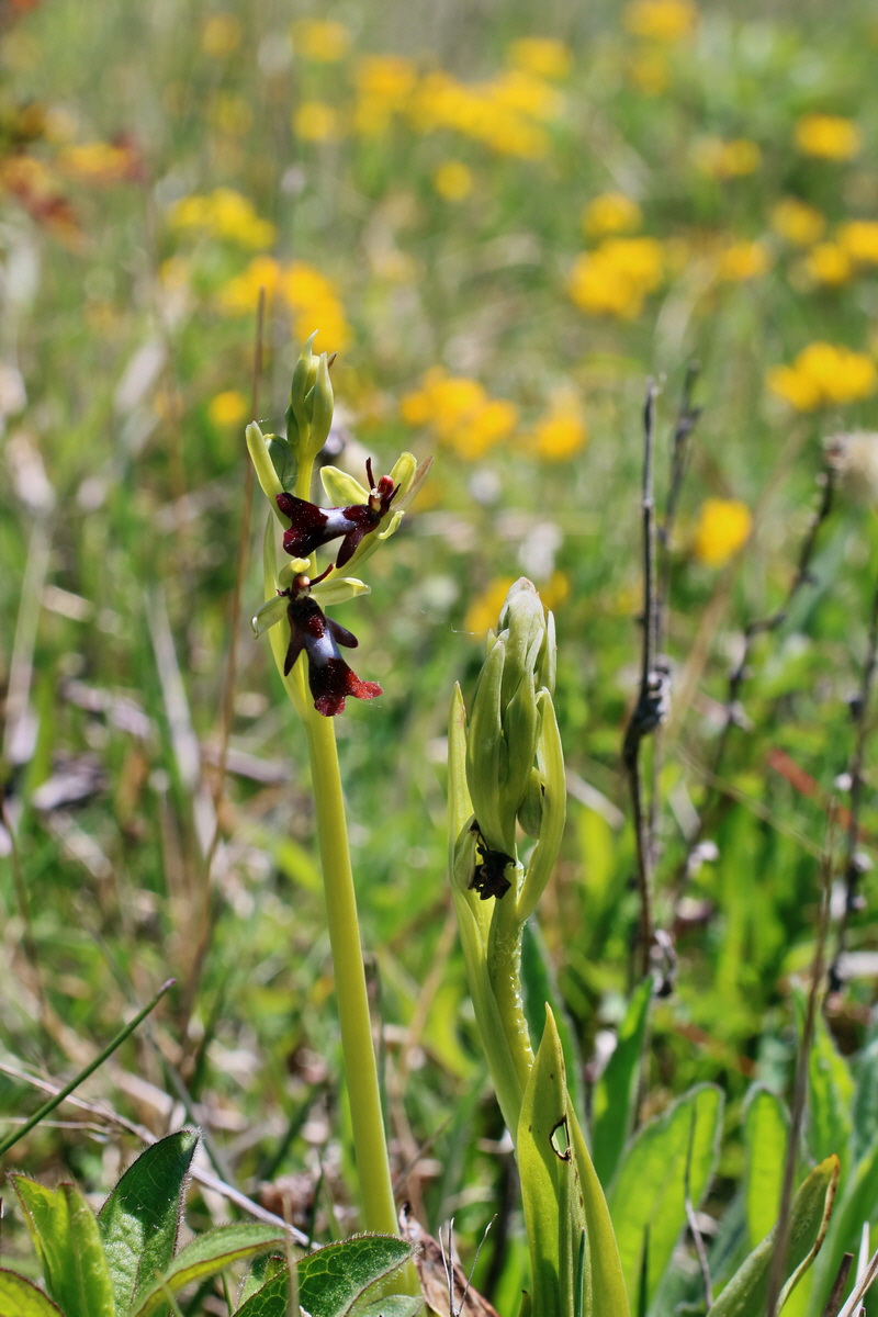 IMG-2016-05-08-00014534p_Bildgr��e �ndern