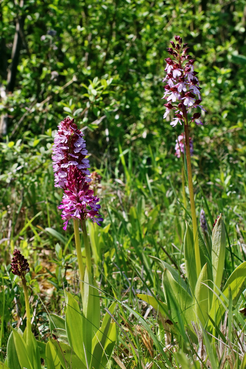 IMG-2016-05-08-00014538p_Bildgr��e �ndern