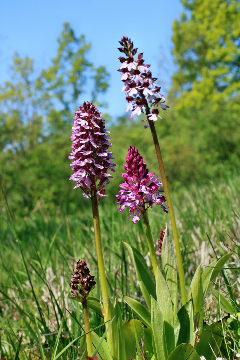 IMG-2016-05-08-00014540p_Bildgr��e �ndern