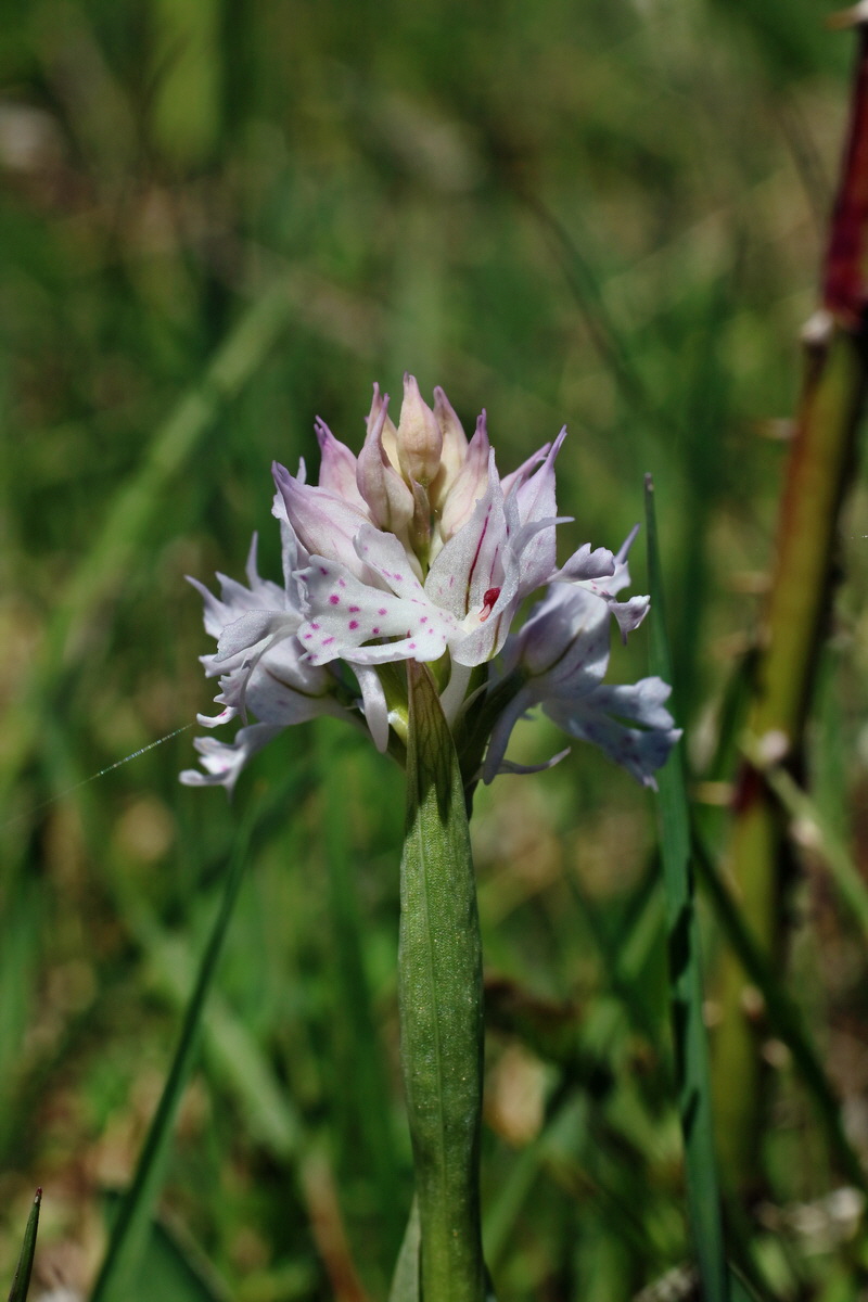 IMG-2016-05-08-00014545p_Bildgr��e �ndern