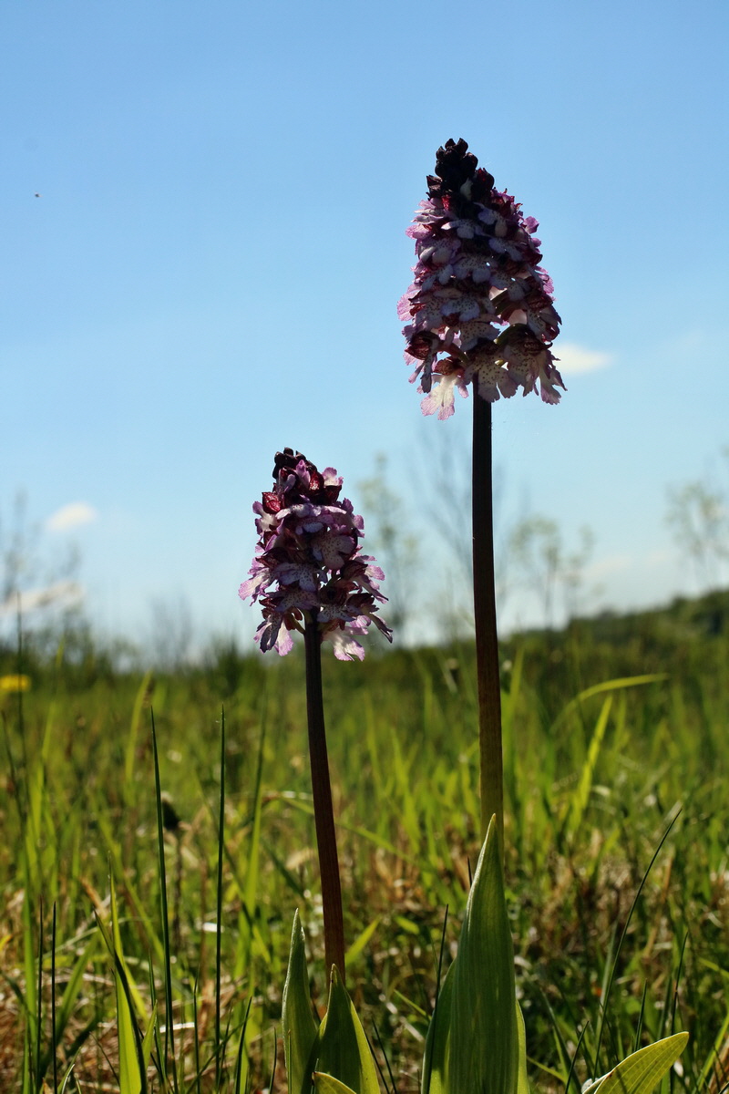 IMG-2016-05-08-00014556p_Bildgr��e �ndern