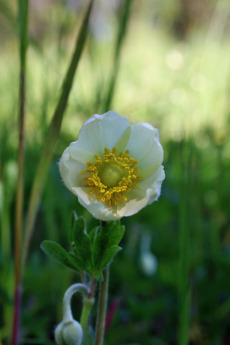 IMG-2016-05-08-00014560p_Bildgr��e �ndern