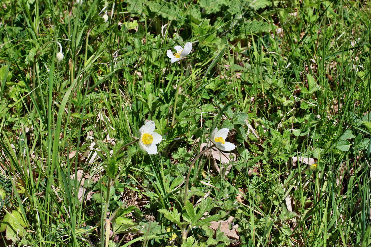 IMG-2016-05-08-00014562p_Bildgr��e �ndern