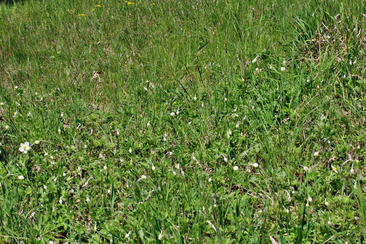 IMG-2016-05-08-00014564p_Bildgr��e �ndern