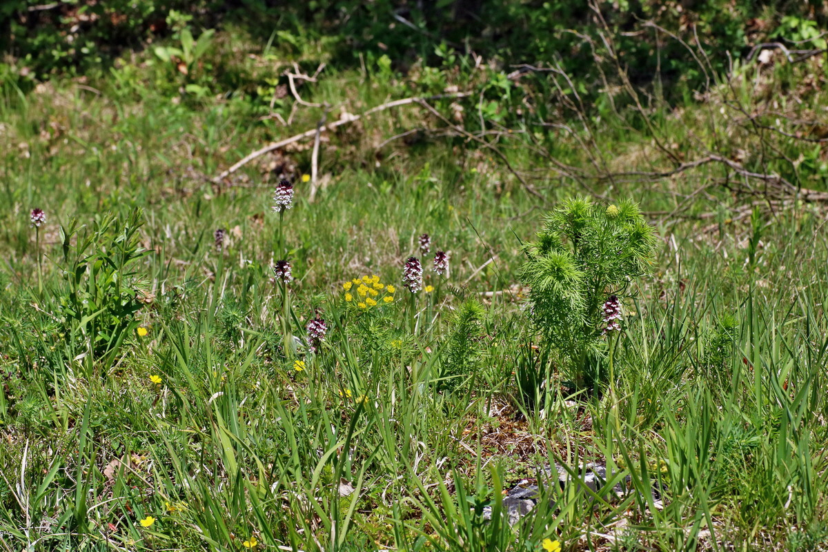 IMG-2016-05-08-00014573p_Bildgr��e �ndern