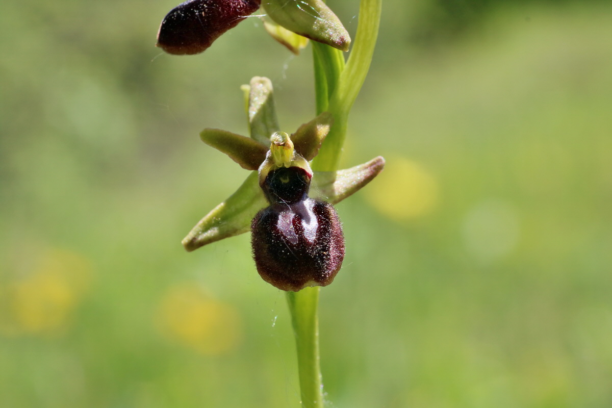 IMG-2016-05-08-00014576p_Bildgr��e �ndern