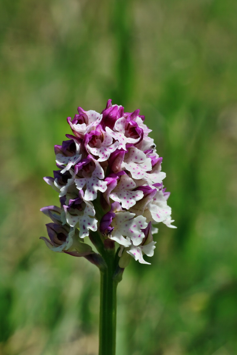 IMG-2016-05-08-00014585p_Bildgr��e �ndern