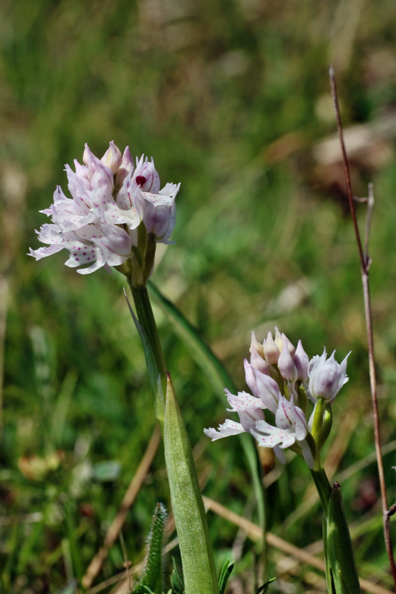 IMG-2016-05-08-00014587p_Bildgr��e �ndern