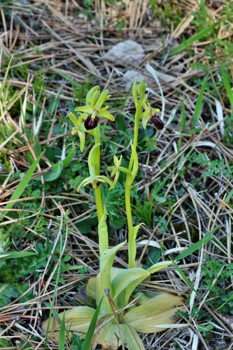 IMG-2016-05-08-00014592p_Bildgr��e �ndern