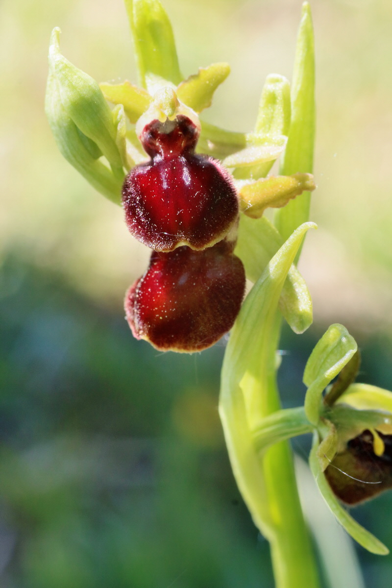 IMG-2016-05-08-00014595p_Bildgr��e �ndern