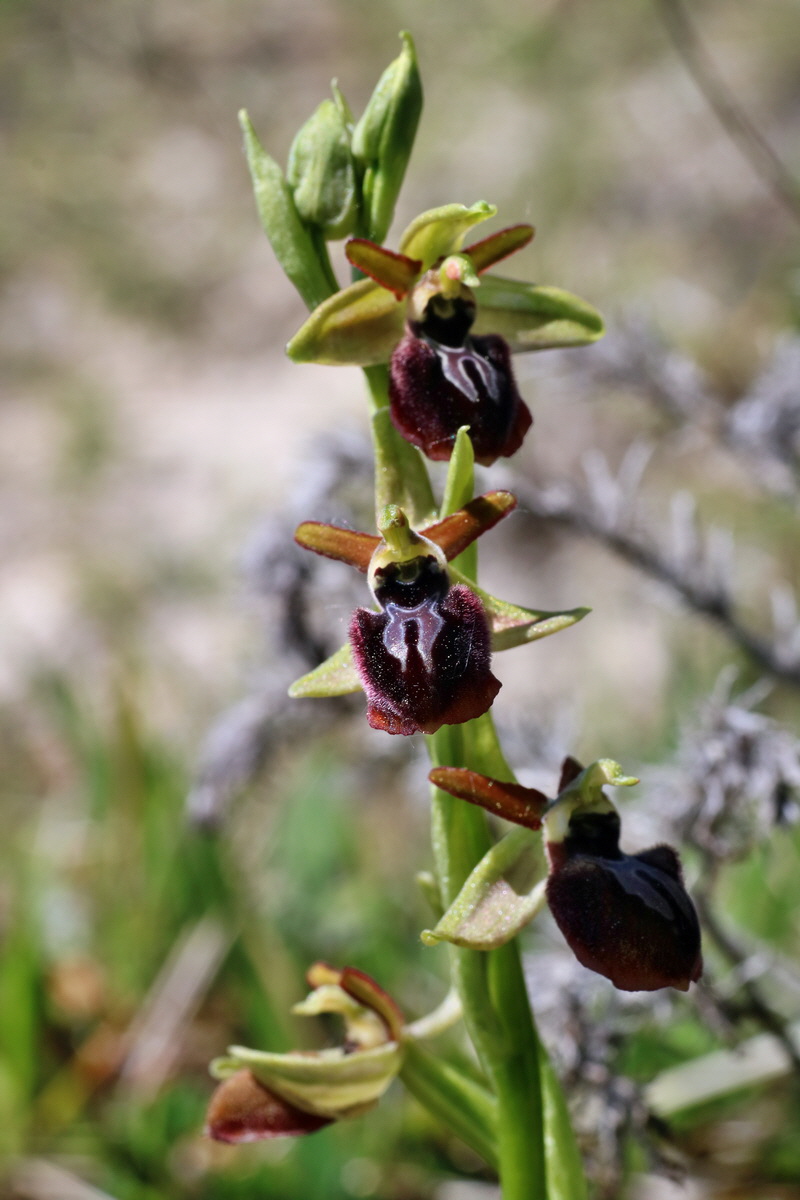 IMG-2016-05-08-00014612p_Bildgr��e �ndern