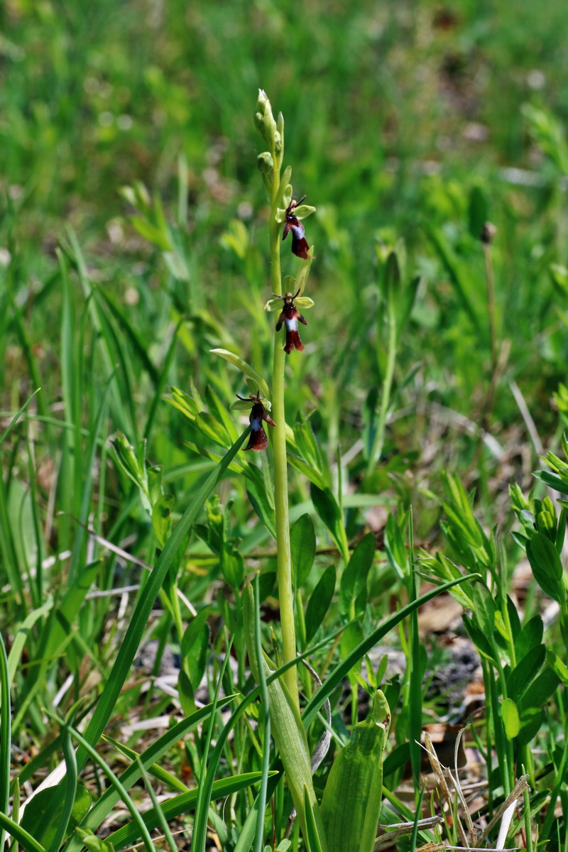 IMG-2016-05-08-00014614p_Bildgr��e �ndern