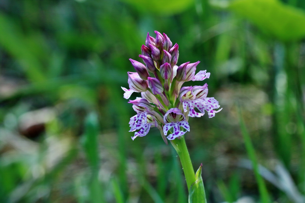 IMG-2016-05-08-00014616p_Bildgr��e �ndern