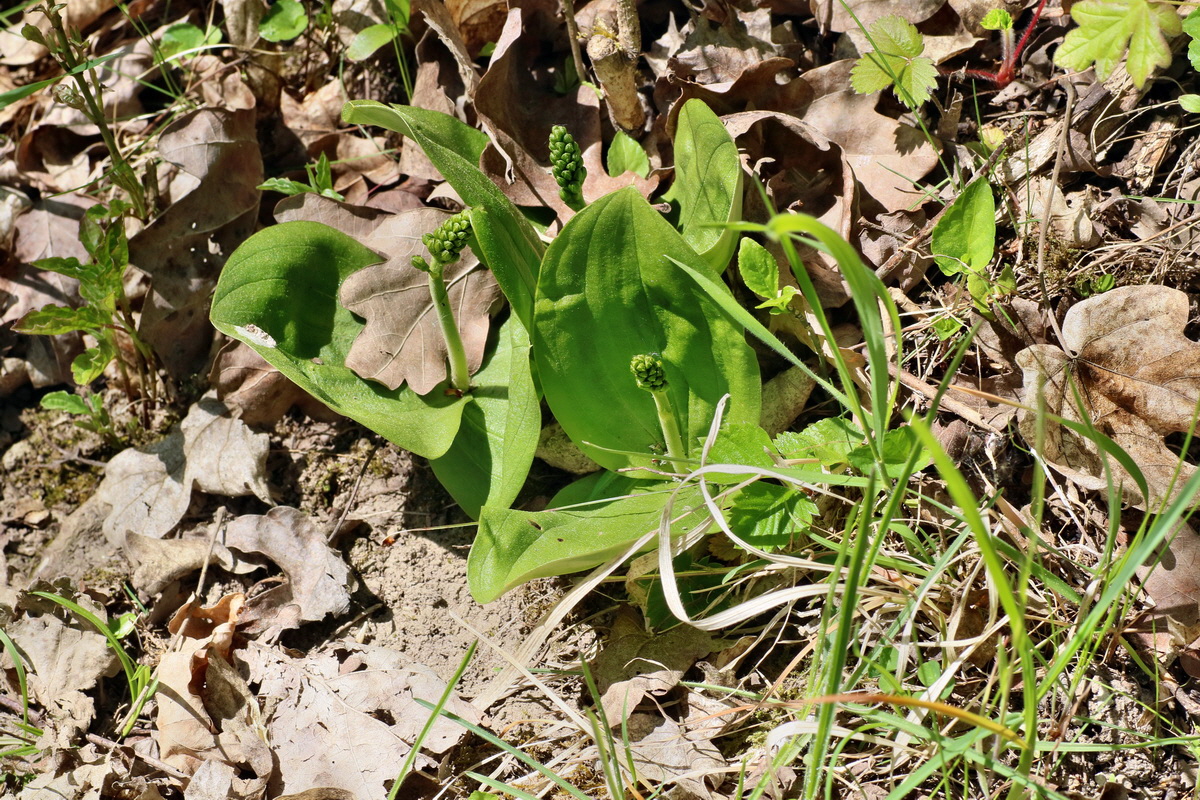 IMG-2016-05-08-00014620p_Bildgr��e �ndern