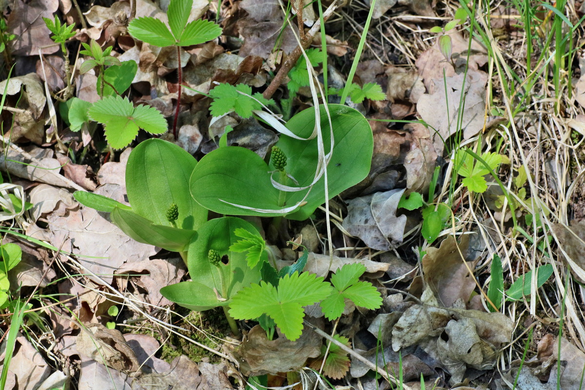 IMG-2016-05-08-00014626p_Bildgr��e �ndern